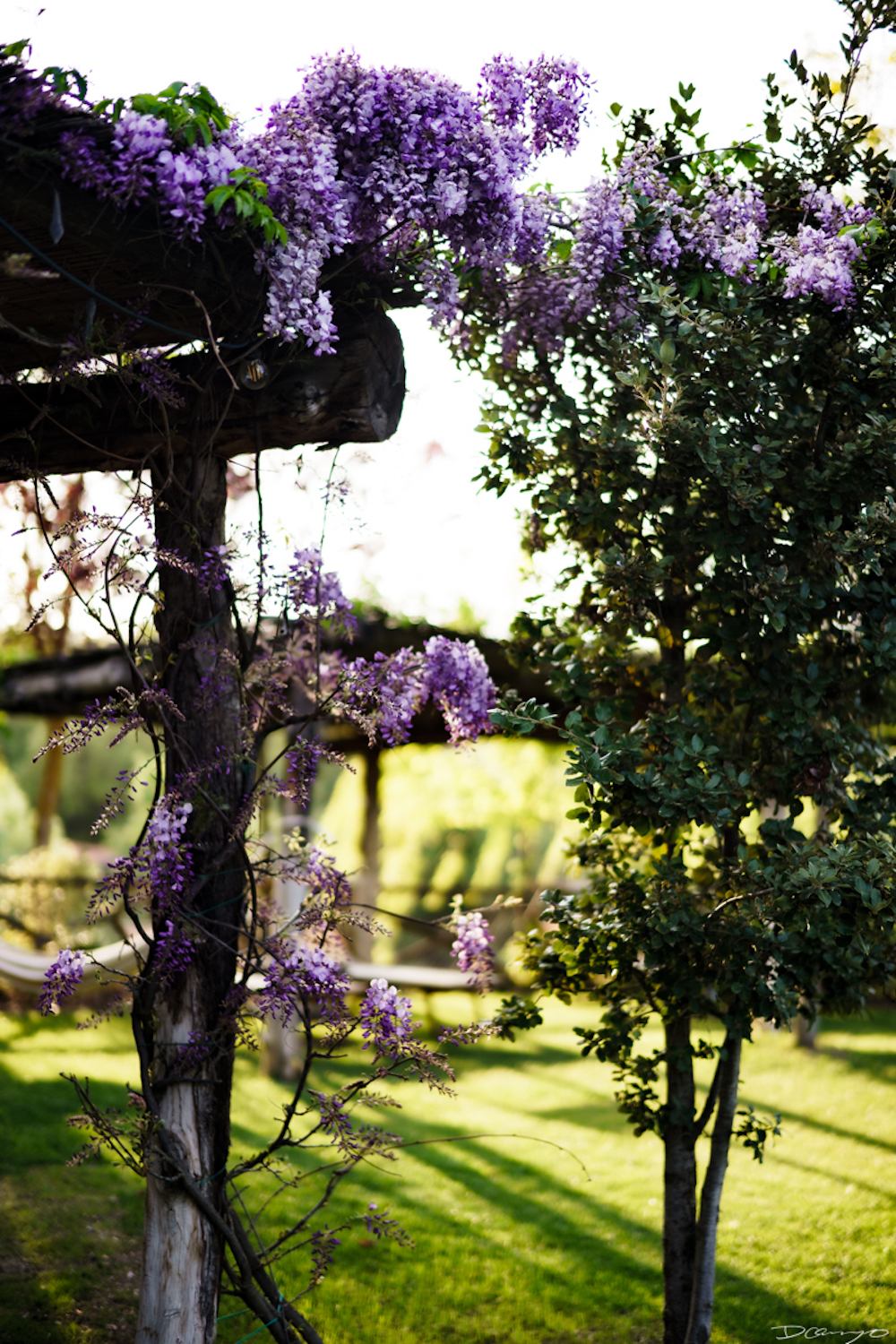 Photos from Venice, Florence, Tuscany, in Spring of 2022.